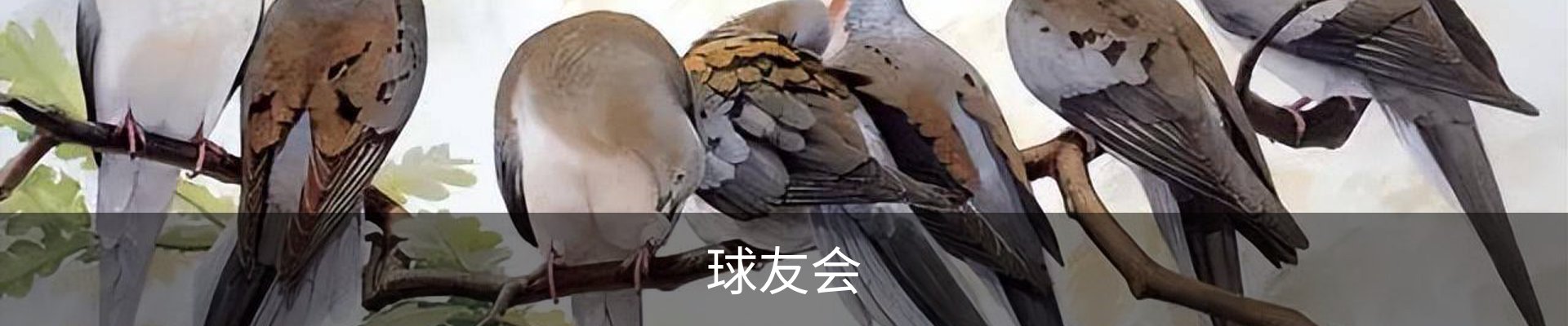 球友会· (中国)官方网站